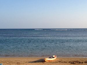 ハワイの海